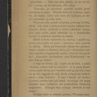 Orzeszkowa, Eliza (1841-1910) - Na prowincyi  powieść. Cz. 2 - 114 - 0e08220b-43f3-48f0-9103-4f1f78c47adc